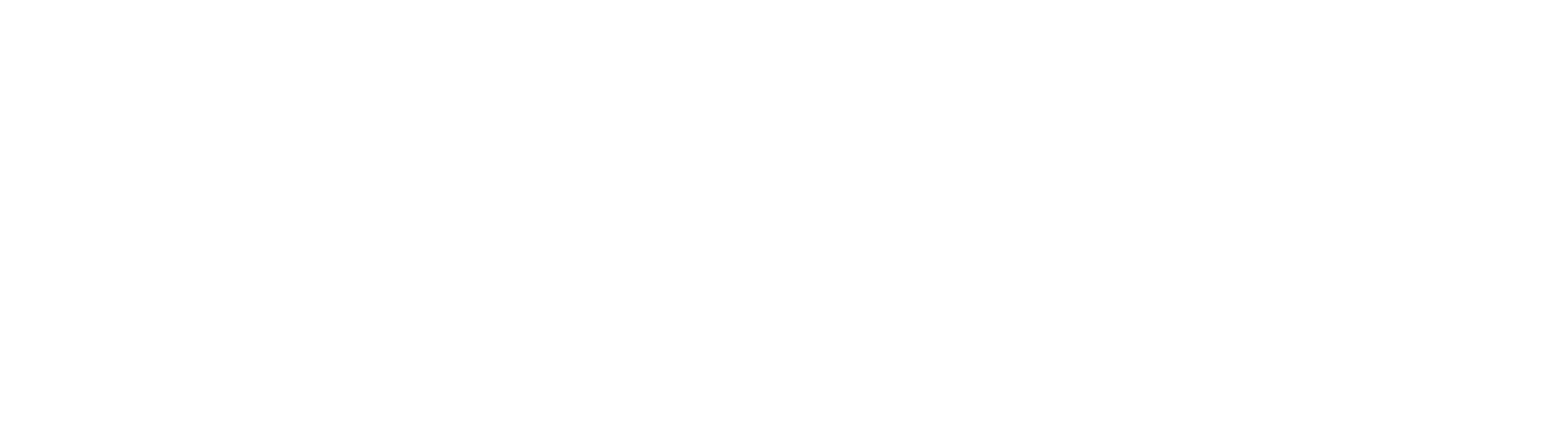 Control1-Logo-feher (2)